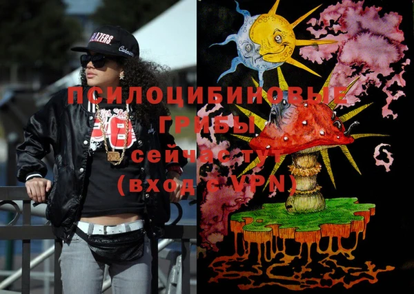 МДПВ Пестово