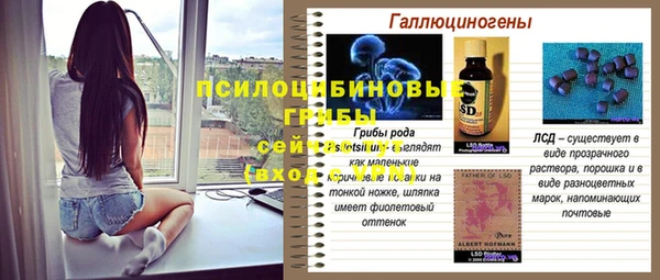 ПСИЛОЦИБИНОВЫЕ ГРИБЫ Покров