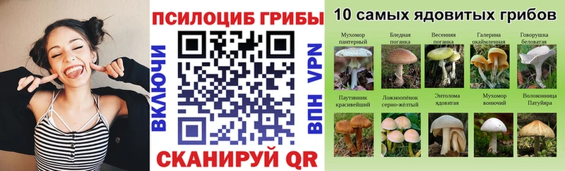 Купить закладки  Чишмы  Галлюциногенные грибы Magic Shrooms 